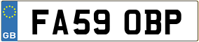 Trailer License Plate